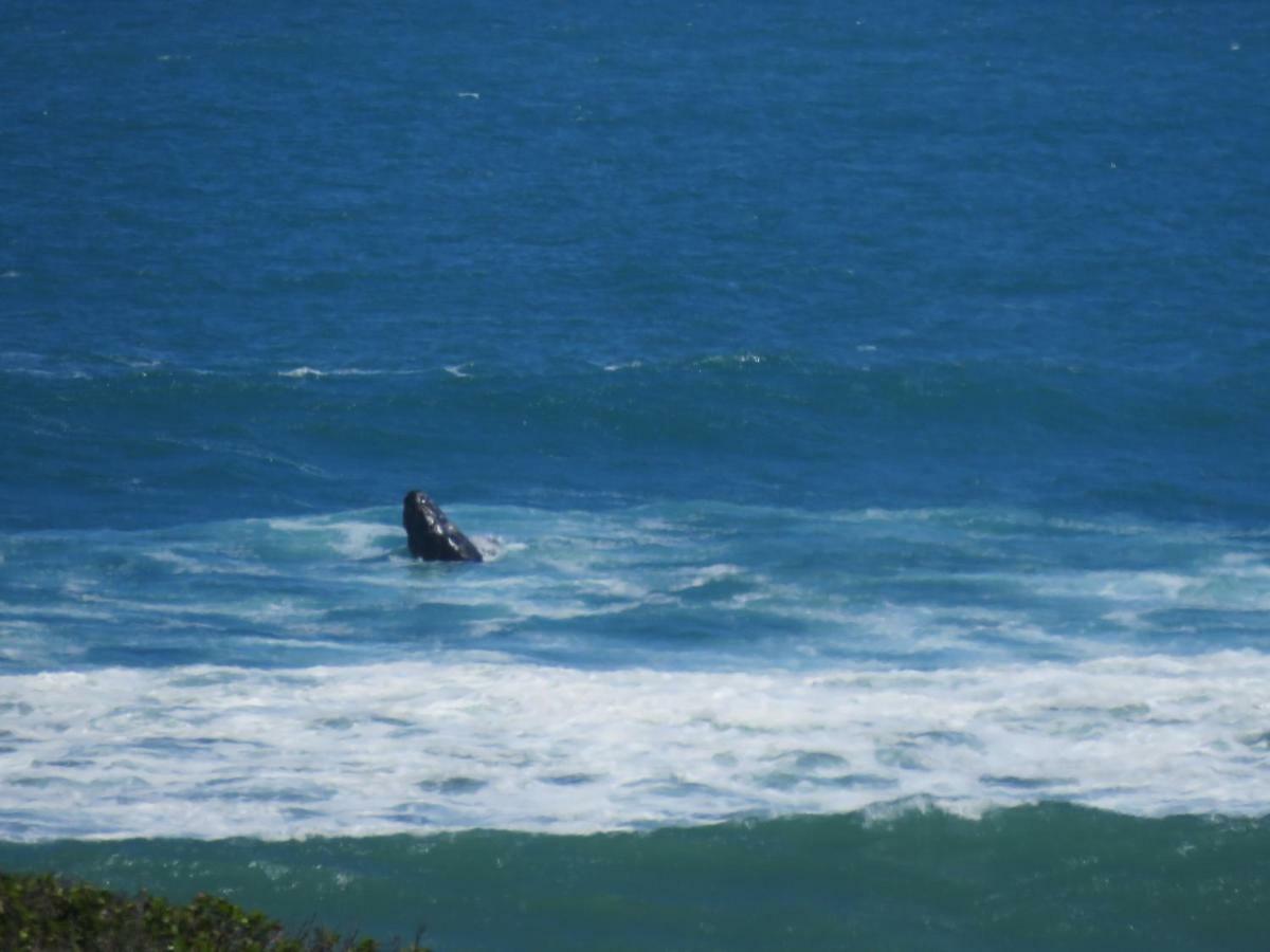 Troon Beach Cottage Hermanus Esterno foto