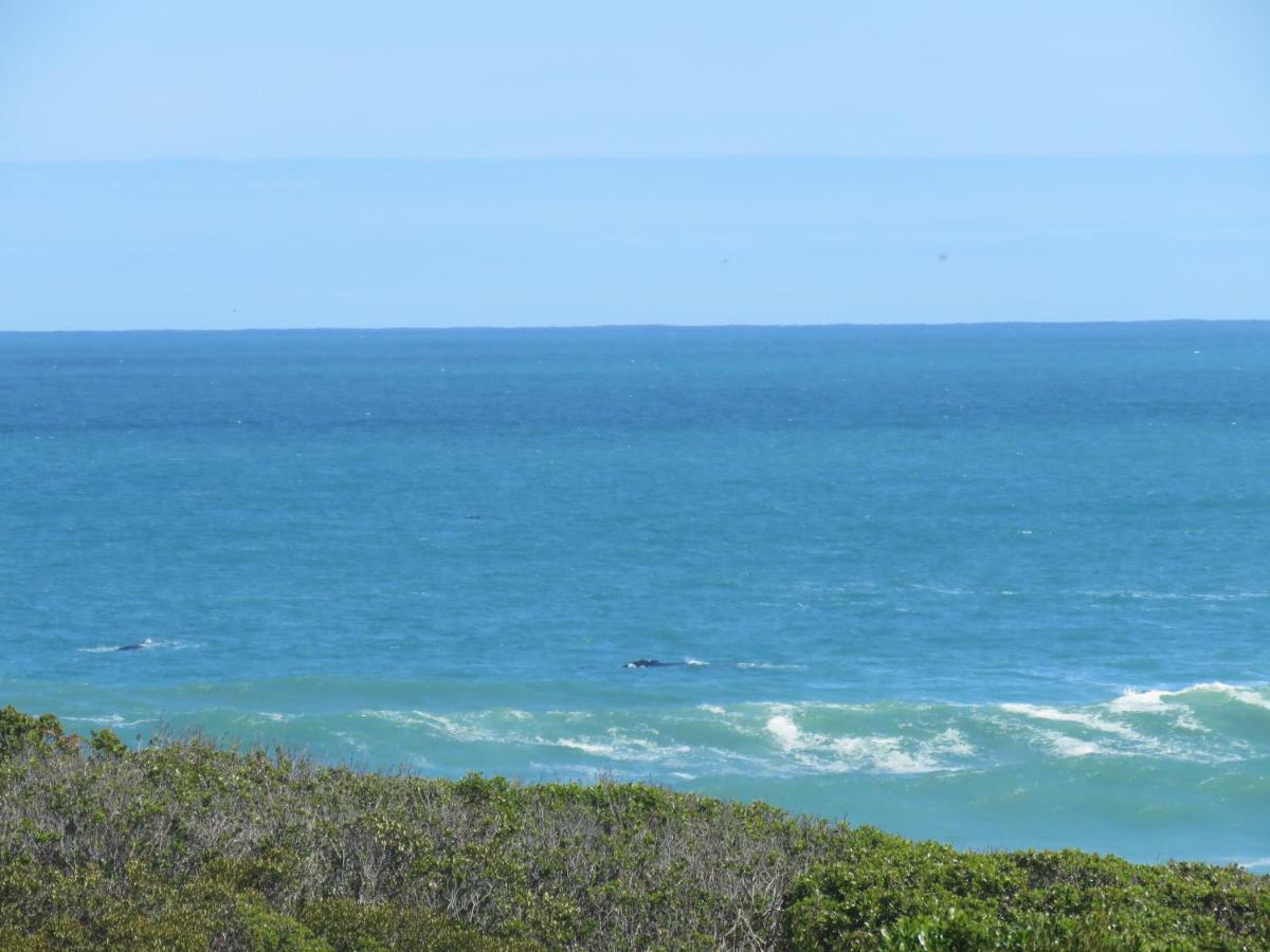 Troon Beach Cottage Hermanus Esterno foto