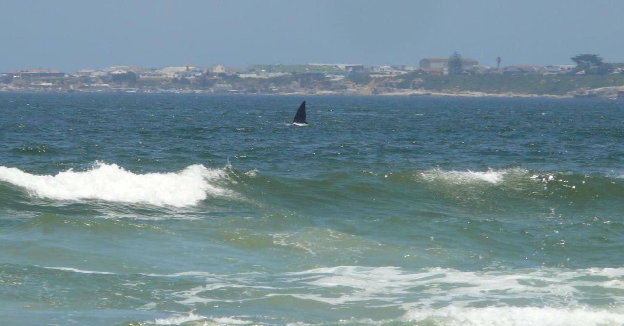 Troon Beach Cottage Hermanus Esterno foto