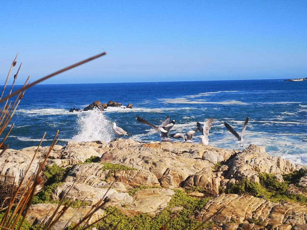 Troon Beach Cottage Hermanus Esterno foto