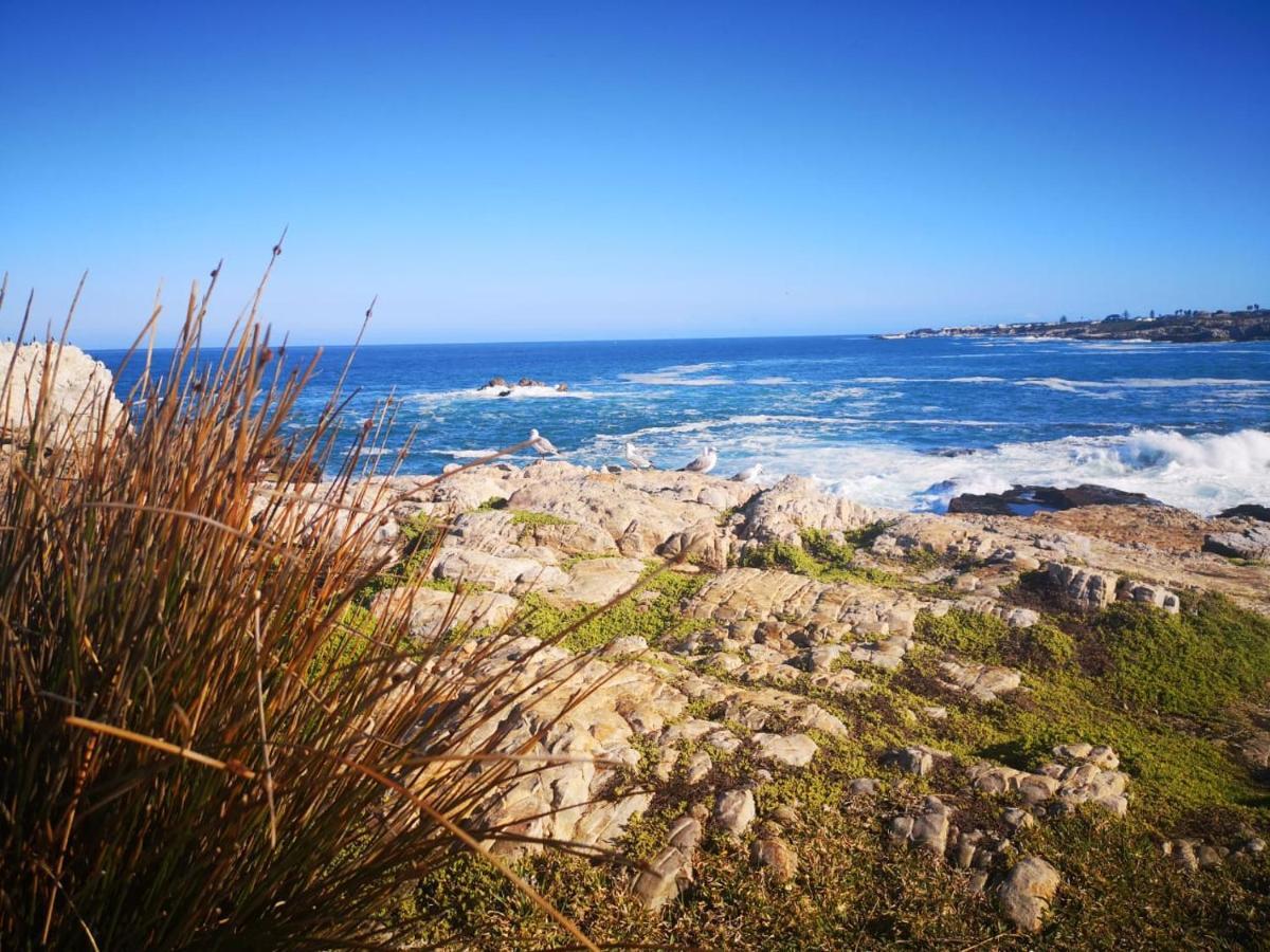 Troon Beach Cottage Hermanus Esterno foto